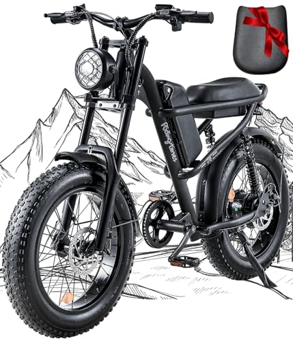 Best Fat Bikes under 2000