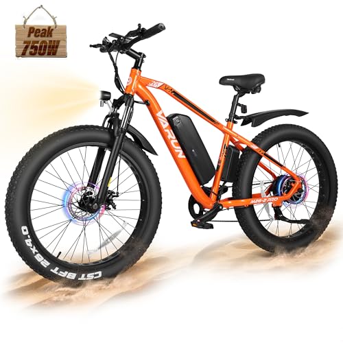 Best Fat Tire E Bike under $2000