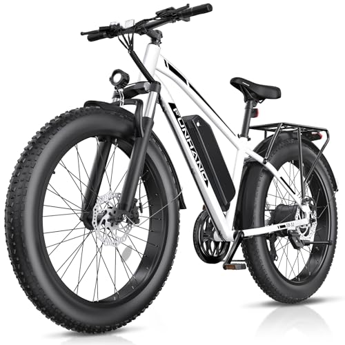 Best Fat Tire Mountain Bikes under 500
