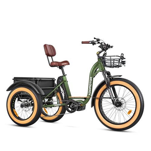 Best 3 Wheel Electric Bike Mid Drive