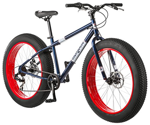 Best Fat Wheel Electric Bike